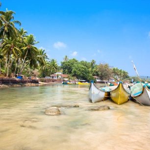 GOA